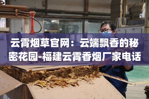 云霄烟草官网：云端飘香的秘密花园-福建云霄香烟厂家电话