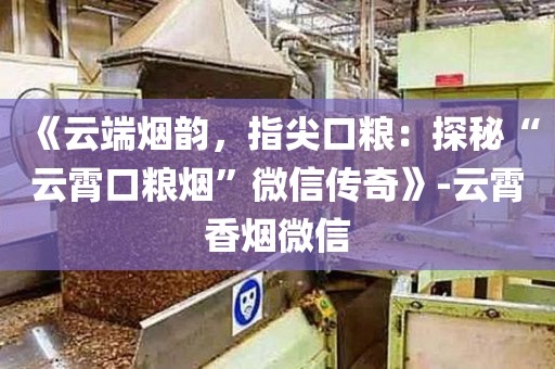 《云端烟韵，指尖口粮：探秘“云霄口粮烟”微信传奇》-云霄香烟微信